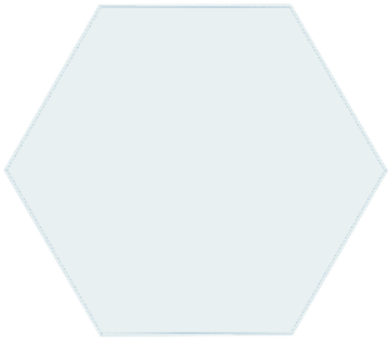 Robots: New Advances in Walking Large Models