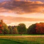 Supervisor Architecture in Multi-Agent Systems