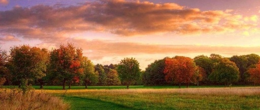 Supervisor Architecture in Multi-Agent Systems