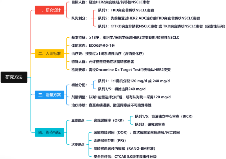 ADC Resistance Overcome: ORR Exceeds 41%! The Potential of HER2 TKI Treatment in HER2+ NSCLC