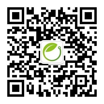 Comprehensive Analysis of the STM32 Ecosystem: Introduction, Installation, and Usage Tutorials