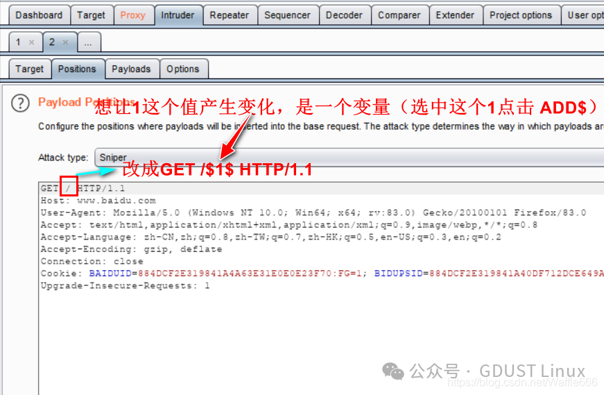 Linux Lesson 5: Web Security Vulnerabilities