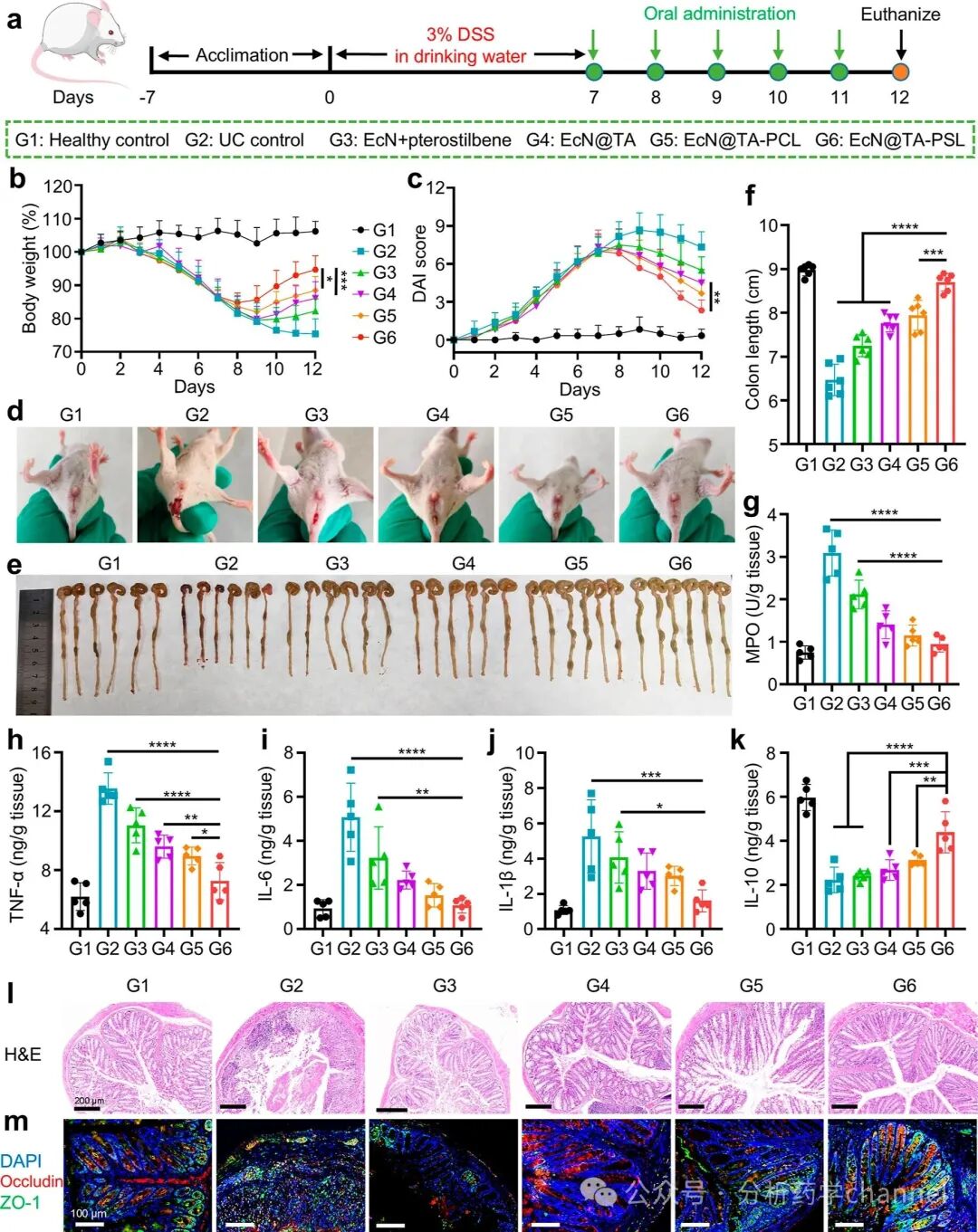 Literature Sharing | J AM CHEM SOC | Probiotic-Drug Conjugates Achieve Site-Specific Probiotic Colonization and On-Demand Drug Release to Combat Ulcerative Colitis and Its Complications