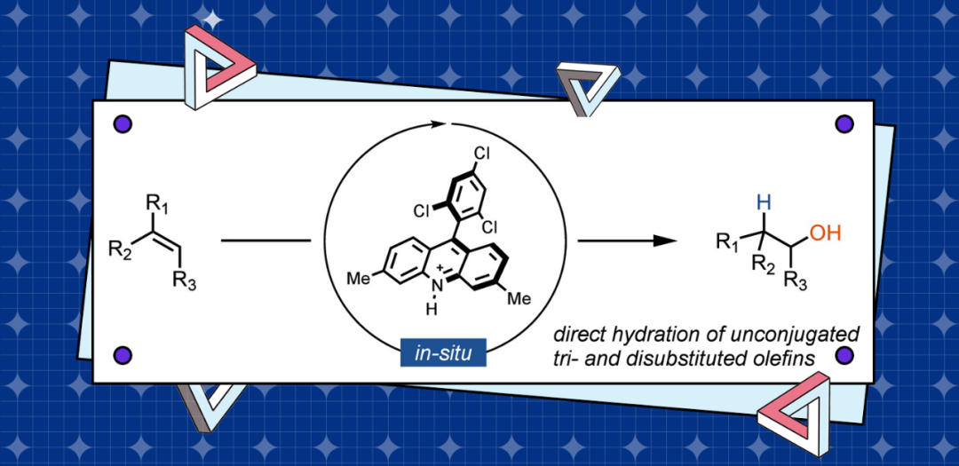 N-Protonated Acridinium Catalyst Enables Anti-Markovnikov Hydration of Unconjugated Tri- and Disubstituted Olefins