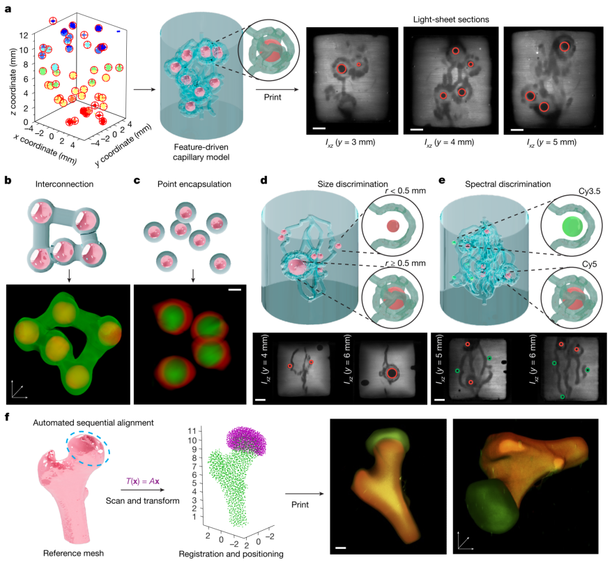 3D Bioprinting: The Latest from Nature!