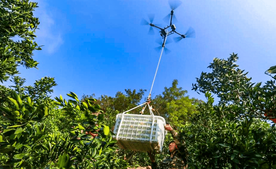 Portable Biosensors: A New Engine for Technological Innovation and Integration with Agriculture