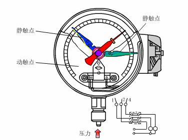 Animated Schematic Diagrams of PLCs and Sensors