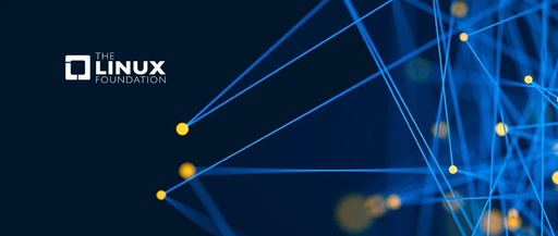 Mastering the ethtool Command: 12 Essential Uses to Eliminate Network Blind Spots