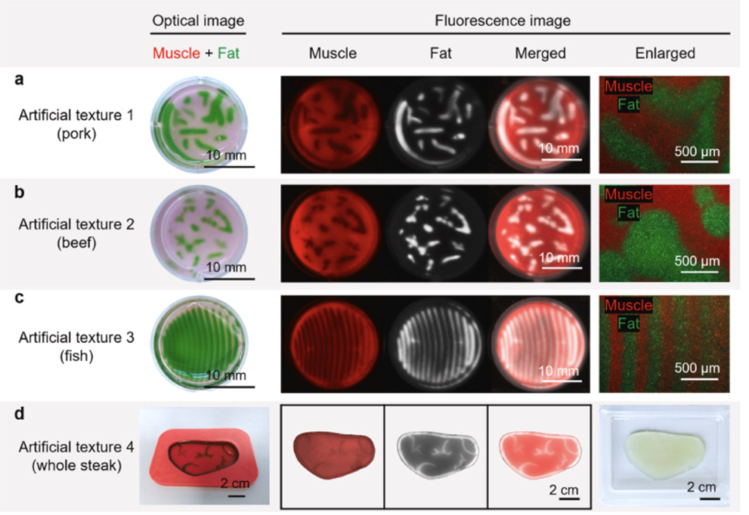 Embedded Bioprinting Technology Enables Precise Manufacturing of Cell-Cultured Meat with Authentic Structural Characteristics
