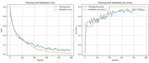 Multi-Layer Perceptron (MLP) Overview