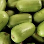A Fruit That Looks Like Both Jujube and Cucumber, with Vitamin C Content Six Times Higher Than Oranges! This Northern Fruit is in Season and Many Haven't Seen It!