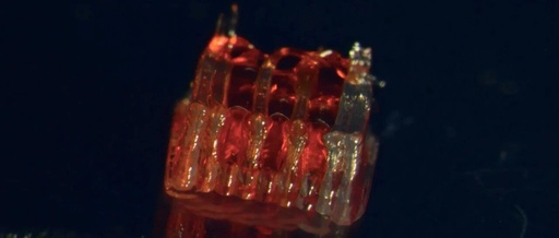 Breakthrough in 3D Printing Technology for Spinal Cord Repair Allows Mice to Walk Again