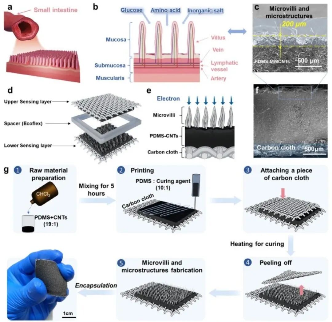 MEMS Pressure Sensors (Part II): Market Landscape, Technological Breakthroughs, and Future Trends