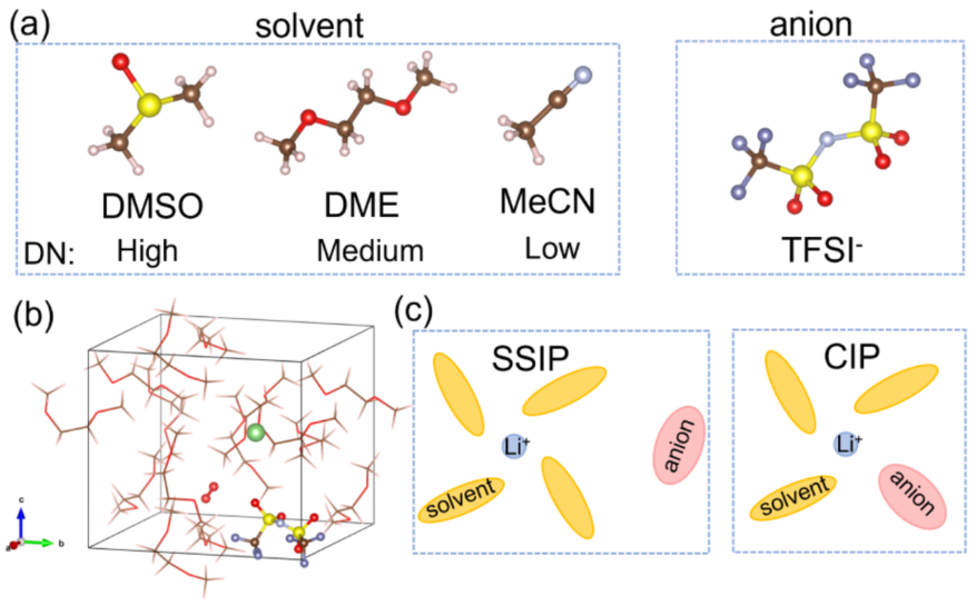 Ab Initio Molecular Dynamics Simulation of Co-N-C Single-Atom Catalysts at the Electrolyte Interface for Oxygen Reduction Reaction