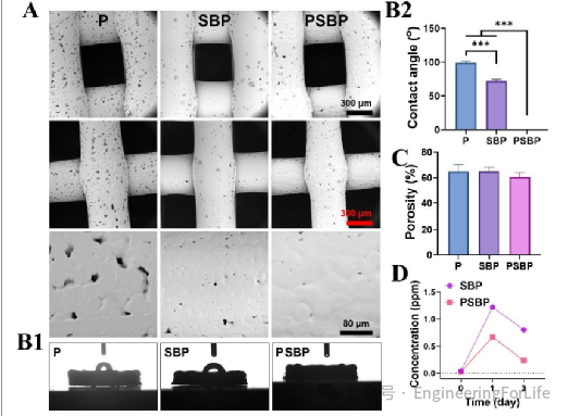 3D Printed Strontium-Doped Bioactive Glass/Polycaprolactone Scaffolds Enhance Immunomodulation and Bone Repair through Polydopamine Surface Modification