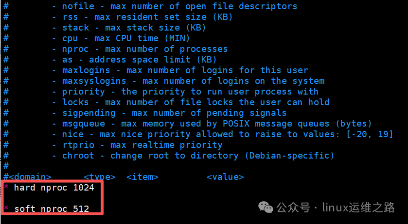 A Single Line of Code in Linux Can Crash the System Instantly, and 90% of People Don't Know