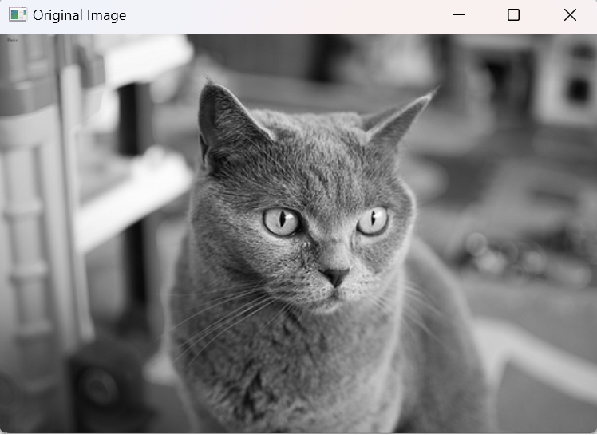 C++ Image Processing (Part 3): Image Smoothing