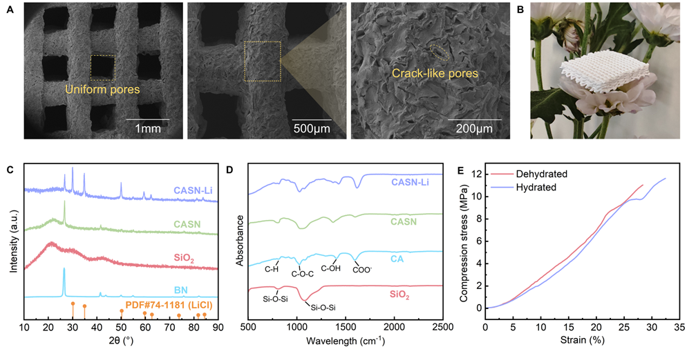 3D Printed Biomimetic Porous Hygroscopic Materials for Rapid Dehumidification and Regeneration