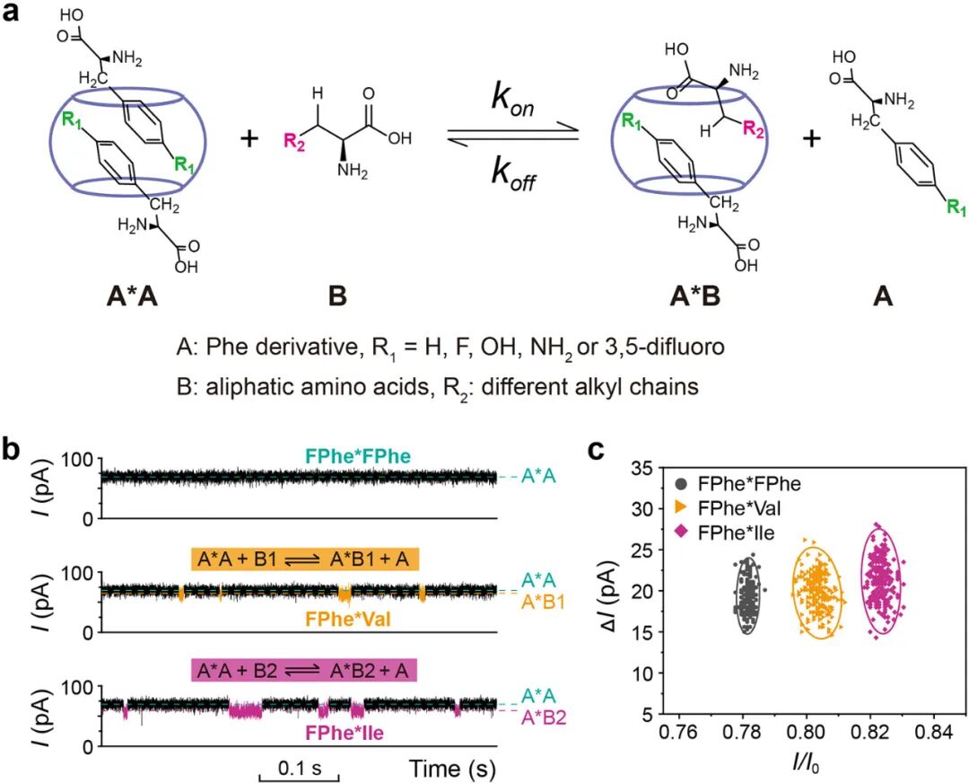 Single-Molecule Level Elucidation of CH-π Interactions