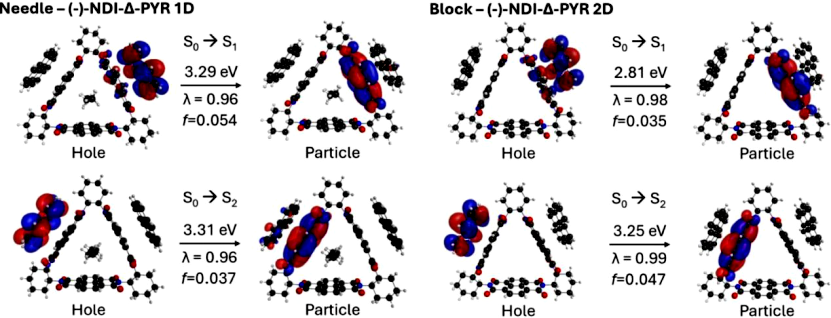 Charge Transfer Dynamics in Supramolecular Tessellations Composed of Aromatic Donors and Chiral Tris(naphthalenediimide) Triangular Acceptors