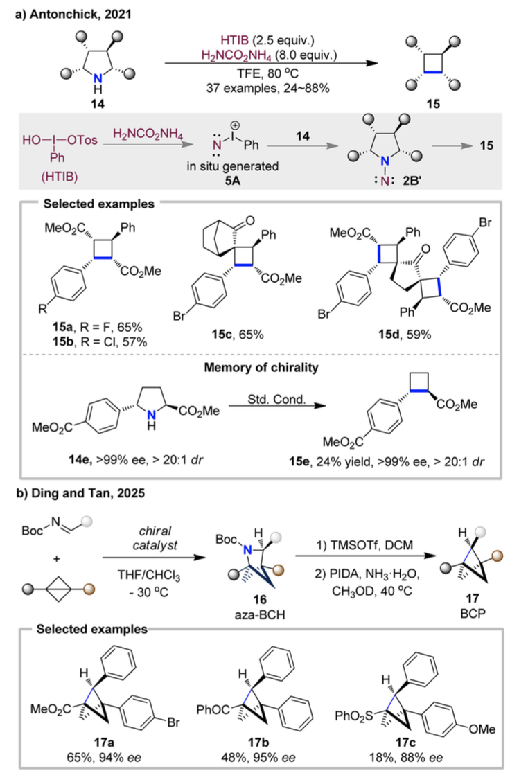 Review by Professor Hongjian Lu's Team at Nanjing University | Recent Advances in Skeleton Editing Based on Nitrogen Atom Manipulation