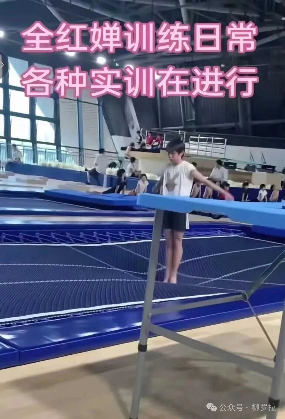 The 207C Dive Score Has Returned to 8.5! Behind Quan Hongchan's 10 Appearances on CCTV: 6-Hour Training Session Exposed, Unusually Intense