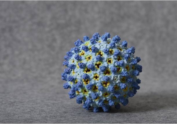 3D Printing of Viruses