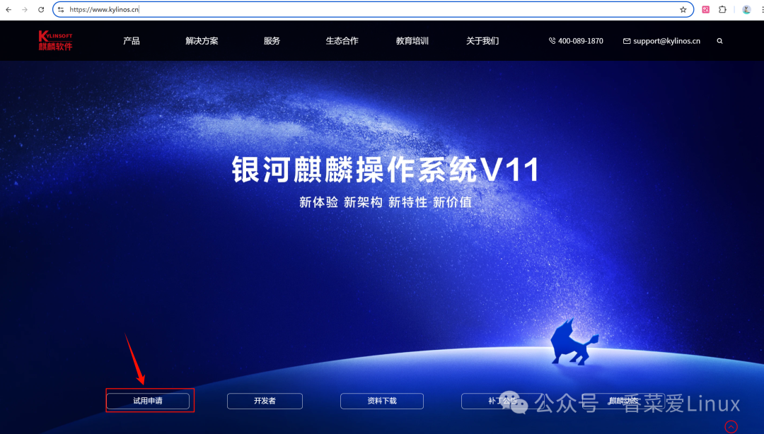Kylin V11 System (Kylin Linux Advanced Server V11) VMware Installation Guide