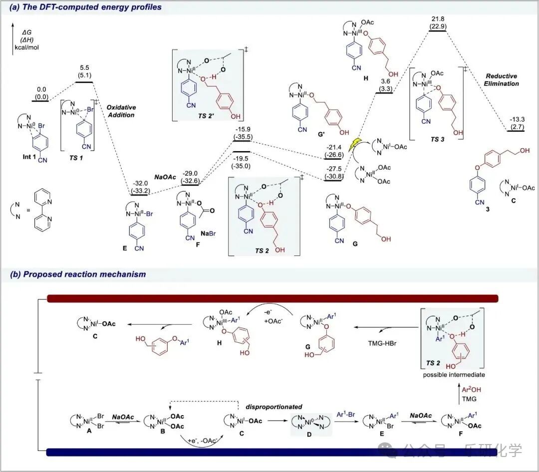 Electrochemical Selective C-O Coupling via Base Replacement