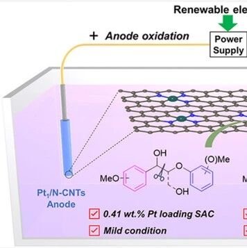 Interpretation of J. Am. Chem. Soc. | Atomically Dispersed Pt-N₃C₁ Sites Enabling Efficient and Selective Electrocatalytic C-C Bond Cleavage in Lignin Models