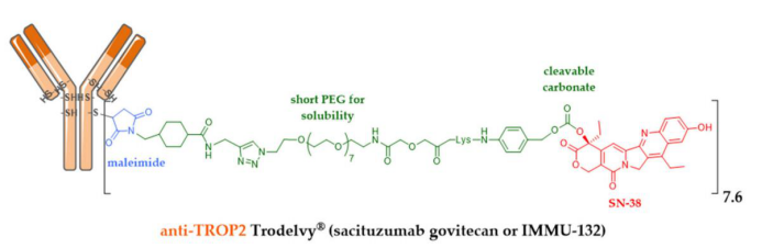 The Evolution of Antibody-Drug Conjugates (ADCs)