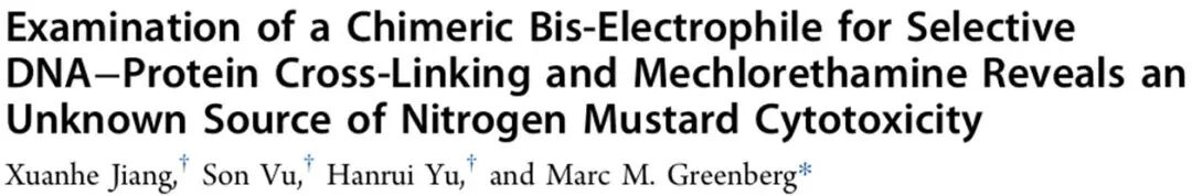 A Novel DNA-Protein Cross-Linking Chemical Probe Reveals the Source of Cytotoxicity from DPC