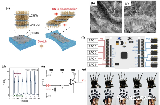 Design Strategies and Applications of Wearable Piezoresistive Strain Sensors with Dimensionality-Based Conductive Network Structures
