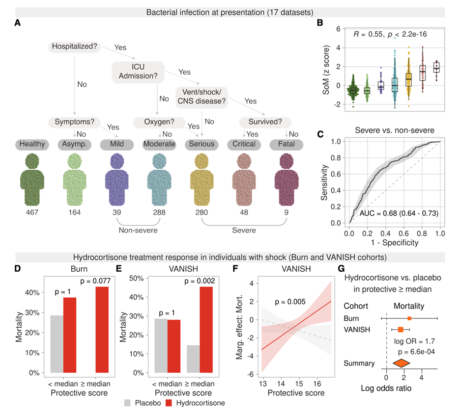 Immunity: Precise Prediction of Infection Severity and All-Cause Mortality Based on SoM Gene Features