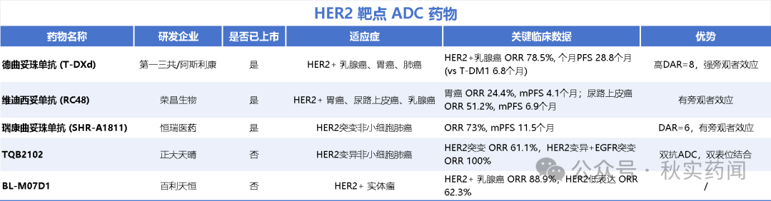 Global Analysis of ADC Drugs | HER2 Target