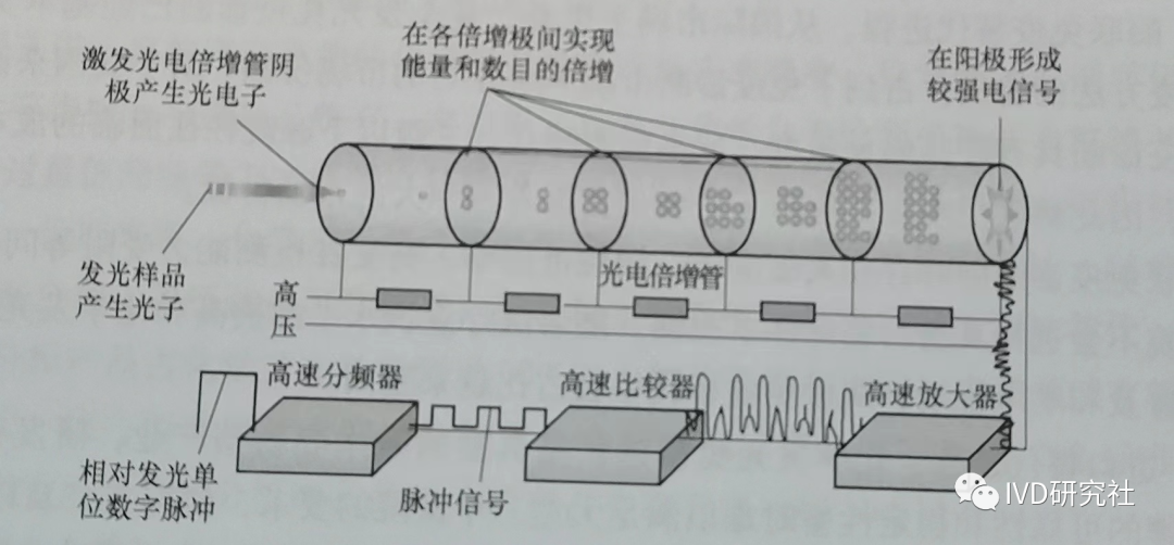 Overview of Chemiluminescent Immunoassay Analyzers