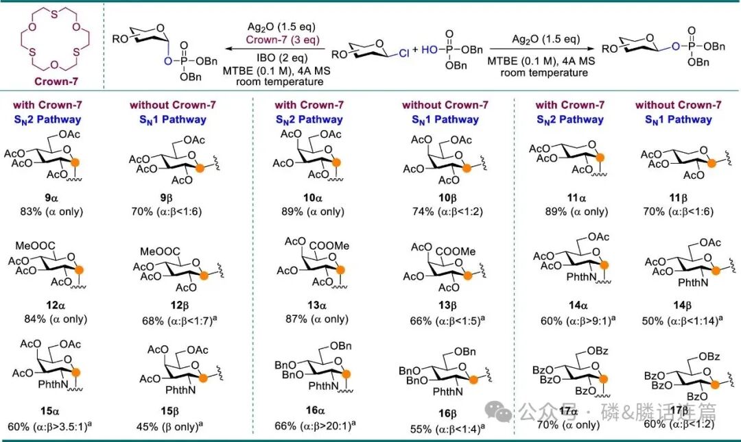 Thiocrown Ether: Reversing SN1 to SN2 Pathways in 1,2-cis Phosphoryl Glycosylation