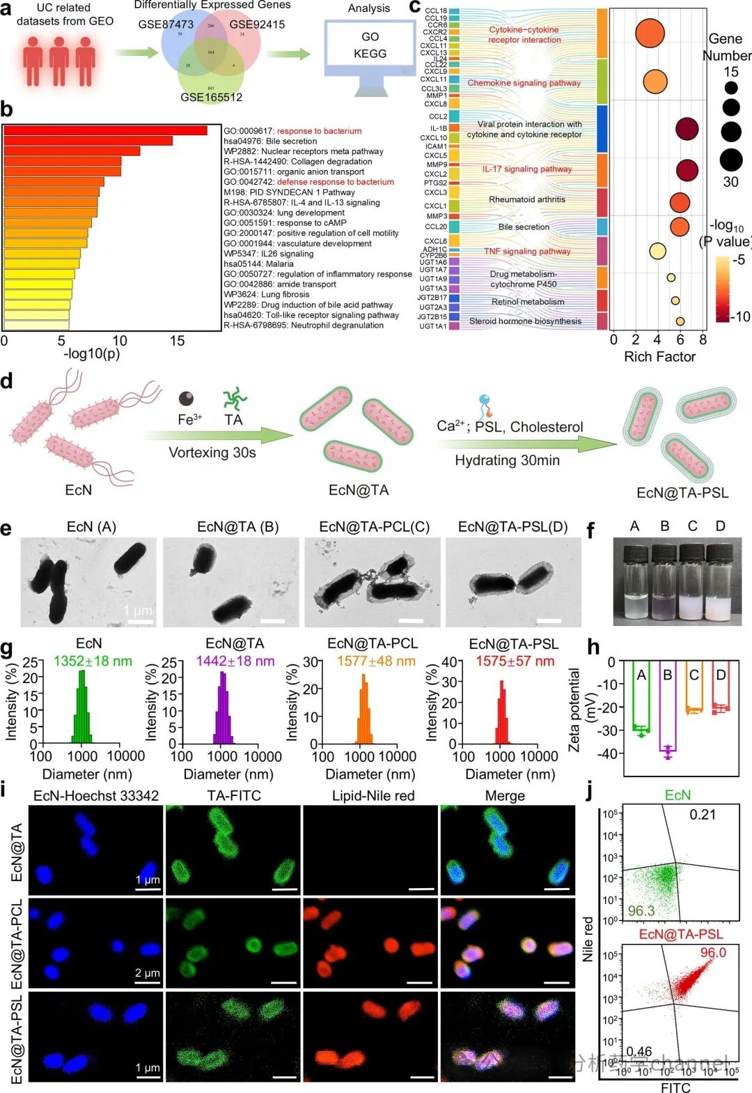 Literature Sharing | J AM CHEM SOC | Probiotic-Drug Conjugates Achieve Site-Specific Probiotic Colonization and On-Demand Drug Release to Combat Ulcerative Colitis and Its Complications