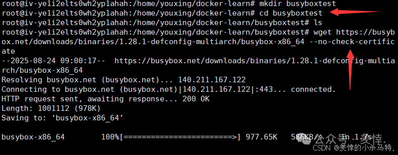 Mastering Docker End-to-End: Container Management, Nginx Homepage Customization, BusyBox Tool Practice, and Tencent Cloud Repository Deployment