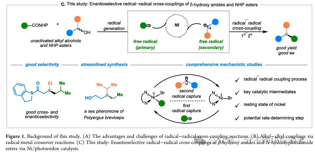 Synergistic Construction of Chiral Carbon Centers via Photocatalytic Nickel Catalysis