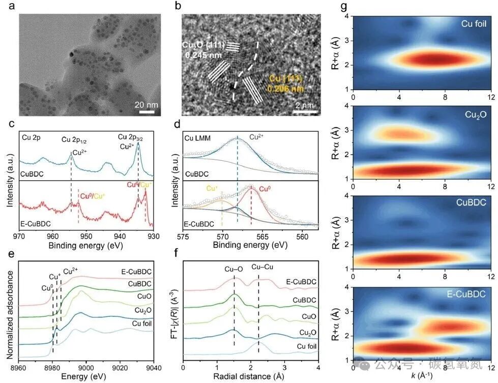 Janus Interface Enables Efficient Conversion of Waste Nitrate to Ammonia: A Metal-Polymer Bridging Strategy Unlocks New Pathways for Amperage-Level Nitrogen Fixation