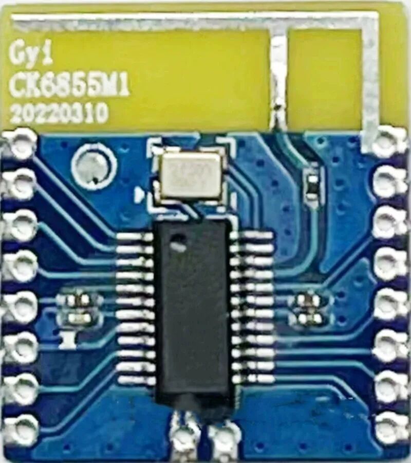 CK6855M1 Offline Voice Recognition Light Control Bluetooth Module: Voice-Controlled RGBW Lighting and Music Switch