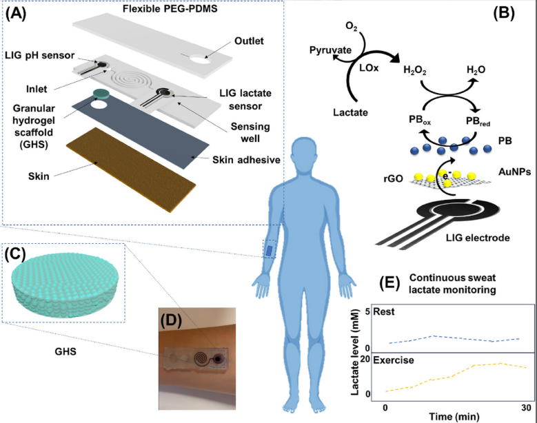 Integrating Home Self-Testing into Daily Life: A New Sensor Solving the Challenge of Low Sweat Secretion Sampling