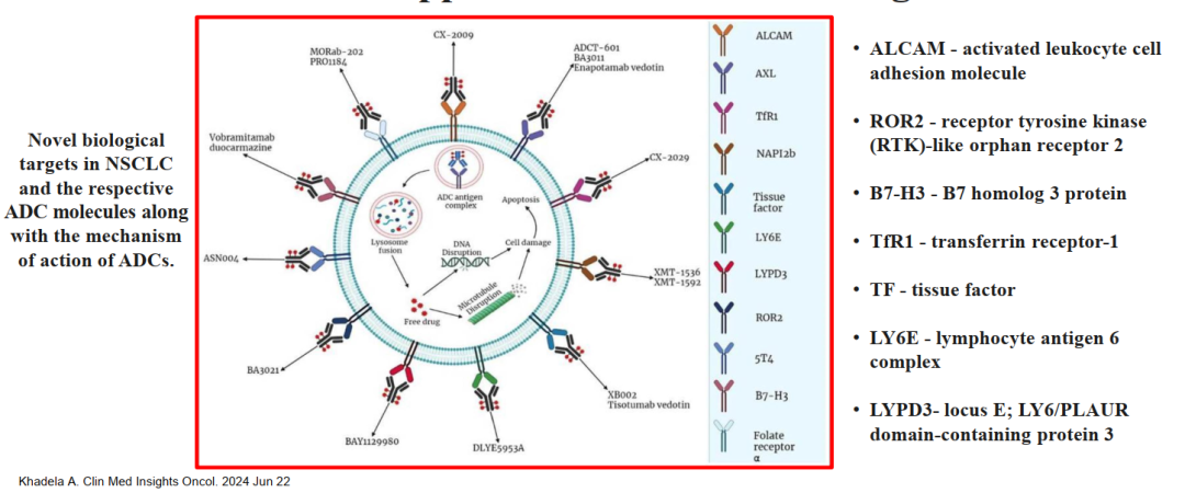 Biomarkers for ADCs: IHC and Beyond