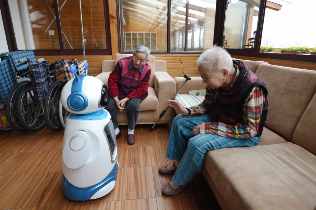 Robot Elderly Care Services: Overcoming the 'Age-Friendly' Challenge