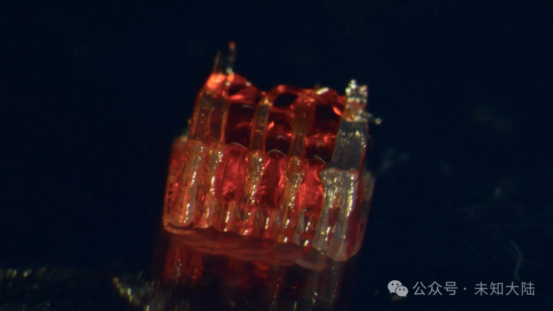 Breakthrough in 3D Printing Technology for Spinal Cord Repair Allows Mice to Walk Again