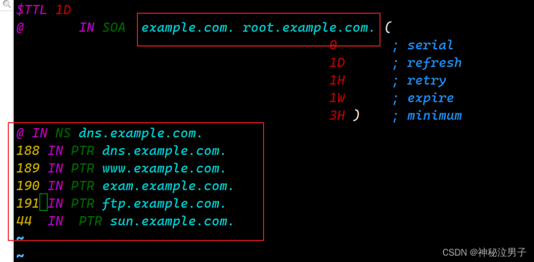Setting Up a DNS Domain Name Resolution Server on Linux (Detailed Version)