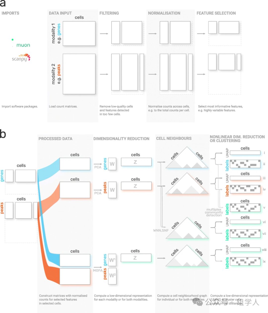 Best Practices for Single-Cell Analysis: 3. The Core Analysis Ecosystem of Python - scverse