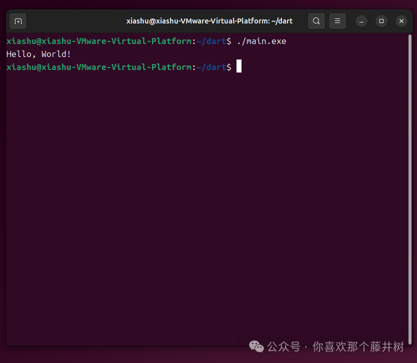 Linux Learning Notes (2): Dart