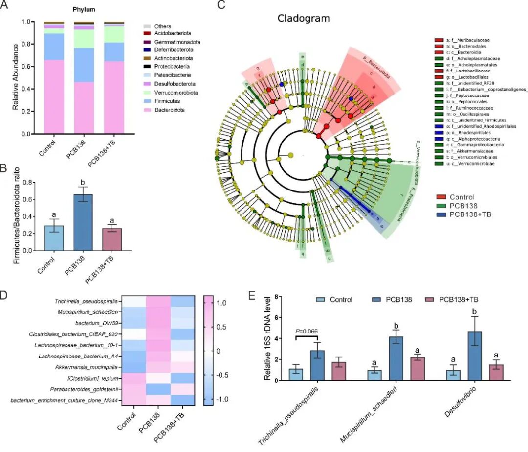 Research on the Mechanism of PCB138-Induced Metabolic-Related Fatty Liver Disease and Intervention with Theabrownin by the Team of Professor Zuo Zhenghong and Professor He Chengyong from Xiamen University